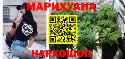 сатива Бузулук
