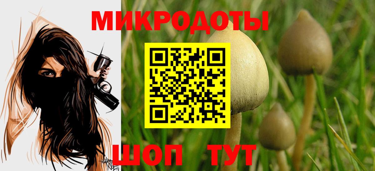 Галлюциногенные грибы мухоморы Чернушка